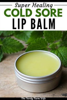 Herbal Cold Sore Remedy, Lemon Lip Balm, Herbal Remedies For Cold Sores, Diy Healing Lip Balm Recipes, Diy Healing Lip Balm, Lemon Balm For Cold Sores, Diy Salves And Balms Recipes, Lemon Balm Lip Balm Recipe, Lemon Balm Lip Balm