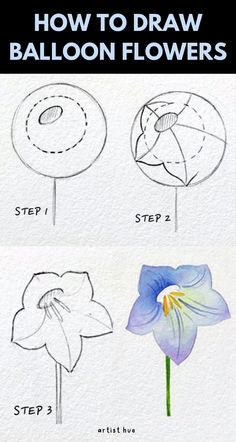 how to draw balloon flowers step by step