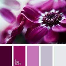 the color scheme is purple and white