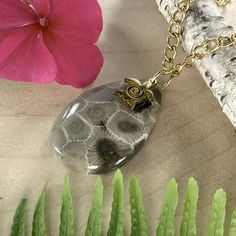 Petoskey Stone from Michigan, handcrafted into a cabochon with a drilled hole and a gold-plated stainless steel jump ring with a turtle charm. Includes an 18" gold-plated stainless steel chain. Stone measures approximately 0.93 x 1.35 inches. Petoskey Stone Jewelry, Petoskey Stone, Turtle Charm, Turtle Pendant, A Turtle, By The Lake, Cabochons Stones, Charm Pendant Necklace, Stone Pendant Necklace