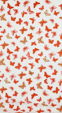 a white background with red and yellow butterflies all over it, as well as on the bottom