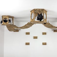 two black cats sitting on top of wooden cat houses in a room with white walls