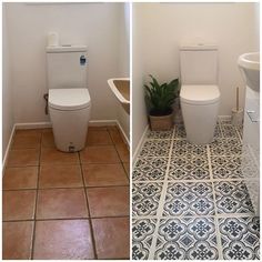 two pictures side by side one has a toilet and the other has a plant in it