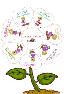 an image of a plant with the words la seutana in spanish on it