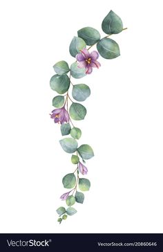 watercolor flowers and leaves on white background