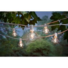 some light bulbs are hanging from a wire in the yard with trees and bushes behind them