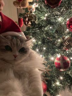 a cat wearing a santa hat sitting in front of a christmas tree with ornaments on it