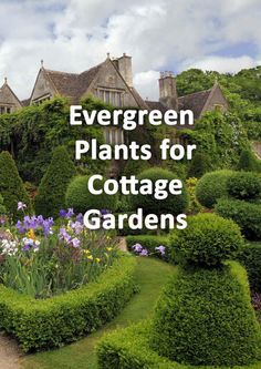 the words evergreen plants for cottage gardens in front of an image of a house and garden