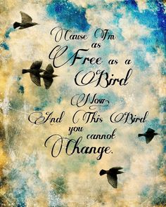 an image of birds flying in the sky with words on it that read, cause as free as a bird