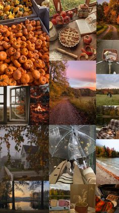 a collage of photos with pumpkins and other things