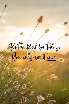 the sun is shining behind some tall grass with weeds in front of it and an inscription that reads, be grateful for today you only see 1 once