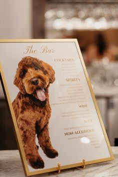 a brown dog sitting on top of a table next to a menu