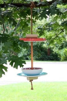 a bird feeder hanging from a tree branch