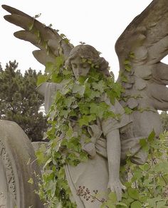 an angel statue covered in ivy next to a grave