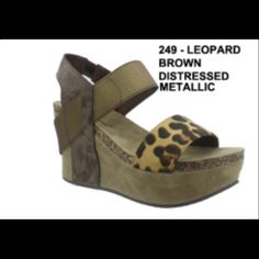 Pierre Dumas Leopard Print Sandal Available Sizes 6-10 Chunky Wedges, Leopard Print Sandals, Skechers Go Walk, Women Flats, Brown Beige, Black Tan, Black And Tan, Cute Shoes, Womens Flats