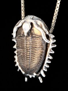 "This unique Trilobite Fossil Pendant is 1 3/8\" long and 1 1/8\" (35 x 28.5 mm) across. The detailed pendant is cast in solid sterling silver with two bails on the reverse to accommodate a chain or black cord. The black cord is included in the price of the pendant. There are over 20,000 trilobite species and the fossils are found on every continent on earth. They existed 300 million years ago and are extinct arthropods, a distant relative to horseshoe crabs, spiders and lobsters. These are Utah Insect Jewelry Design, Fossil Art, Fossil Ring, Jewelry Ocean, Ocean Necklace, Trilobite Fossil, Fossil Jewelry, Insect Jewelry, Ocean Jewelry