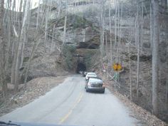 two cars driving through a tunnel in the woods