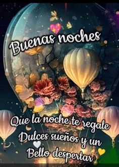 some hot air balloons with flowers in them and the words,'que la noche te