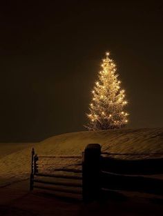 a lit christmas tree in the middle of a snowy field at night with fence and snow covered ground