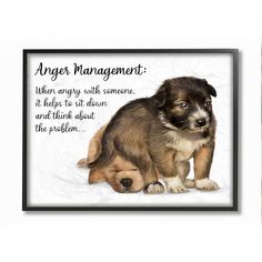 two puppies sitting next to each other in front of a white background with the words anger management written on it