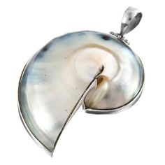 Silver Mother Of Pearl Shell Gift, Silver Shell-shaped Mother Of Pearl Jewelry, Unique Silver Shell Jewelry, Elegant Silver Abalone Shell, Unique Silver Shell As A Gift, Elegant Sterling Silver Shell In Silver, Elegant Silver Pendant Shell, Elegant Silver Sterling Shell, Walrus Tusks