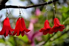 three red flowers hanging from a tree branch