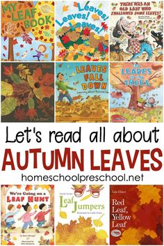 autumn leaves with the text let's read all about autumn leaves