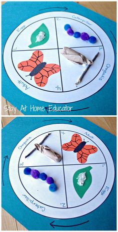 two pictures of butterflies and feathers on a paper plate with the words, stay at home teacher