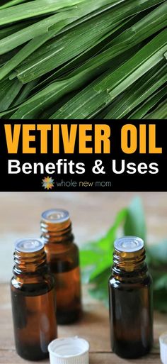 Amazing Vetiver Essential Oil Uses and Benefits - you'll be amazed at all that this fairly unknown essential oils can do! #naturalremedies #essentialoils #healthyliving #natural Vetiver Essential Oil Uses, Excellent Health, Sleep Insomnia, Vetiver Oil, Calendula Benefits, Fruit Health Benefits, Vetiver Essential Oil, Oils For Sleep