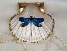 a blue dragonfly on a shell with pearls