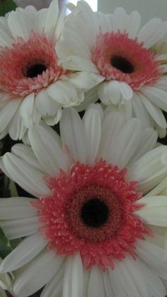 some pink and white flowers are in a vase