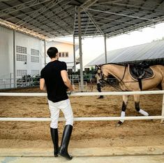 a man standing next to a brown horse