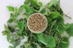 a cup filled with seeds sitting on top of green leaves