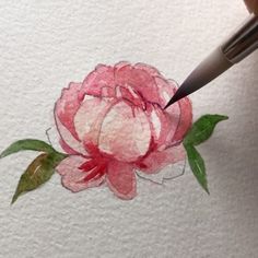 someone is drawing a flower with watercolors on paper