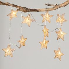 star shaped string lights hanging from a tree branch