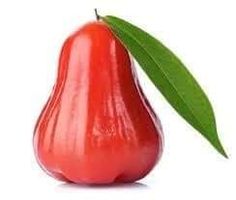 a red pear with a green leaf on it