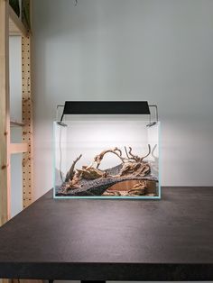 a fish tank sitting on top of a wooden table