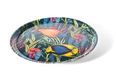 an image of a plate with tropical fish on it