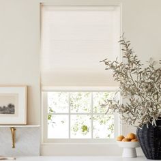 a vase filled with oranges next to a window covered in white roman blind shades