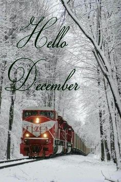 a red and white train traveling through a forest covered in snow with the words hello december written on it