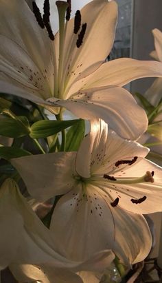 some white flowers are in a glass vase