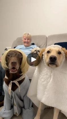 two dogs dressed up as sheeps sitting on the floor