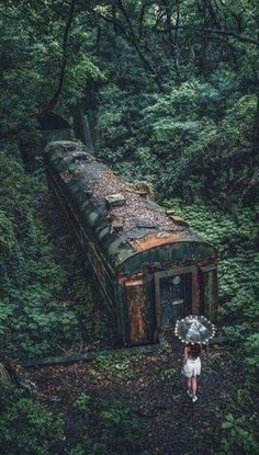 a person with an umbrella standing next to a train in the middle of some trees