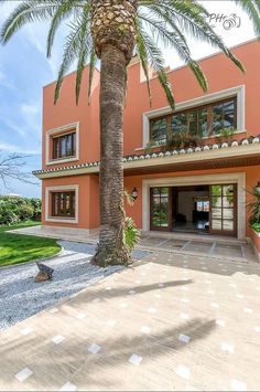 a palm tree in front of an orange house