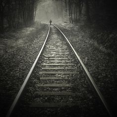 a person standing on train tracks in the middle of a forest with trees and fog