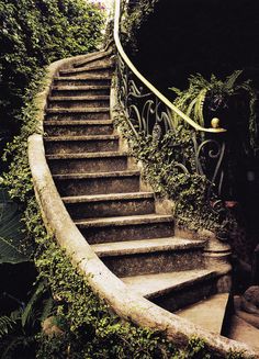 black and white photograph of an old set of stairs