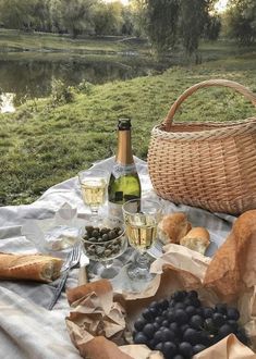 a picnic table with bread, grapes and wine