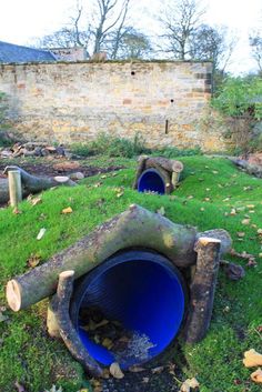 an outdoor area with logs and grass on the ground