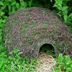 a bird nest covered in vines and grass