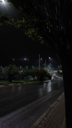 an empty street at night with the lights on and trees in the foreground,